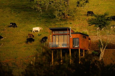 Bird's eye view, Mountain view
