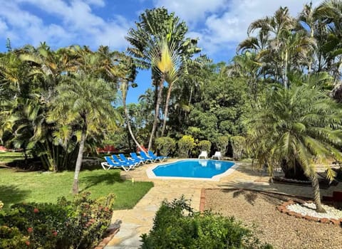 Day, Natural landscape, Garden, Garden, Garden view, Swimming pool