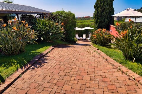 Villa Sabrina with Sea View, Pool, Parking Villa in Liguria