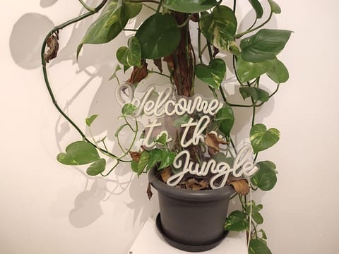 Jungle in Kelkheim for 4 Persons 24 h check in Apartment in Rhineland-Palatinate