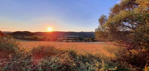 Fronte mare Palau, porto turistico e spiaggia Apartment in Palau