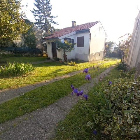 Property building, Garden, Garden view