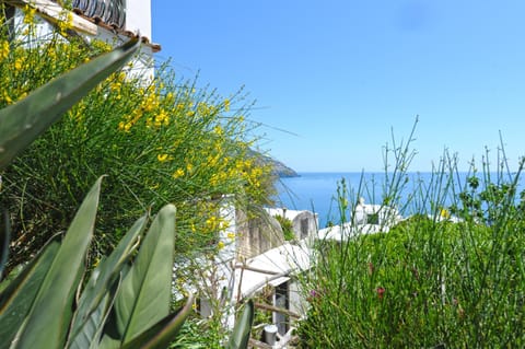 Sorrento Holidays - Casa Fornetto e Casa Forno Apartment in Positano