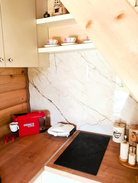 Magical Log House House in Podgorica Municipality, Montenegro