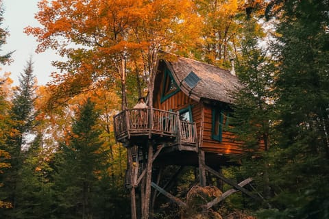 Natural landscape, Autumn
