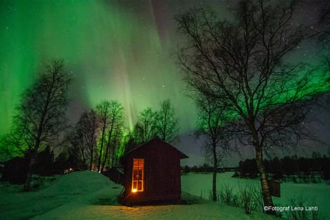 Night, Natural landscape, Sauna