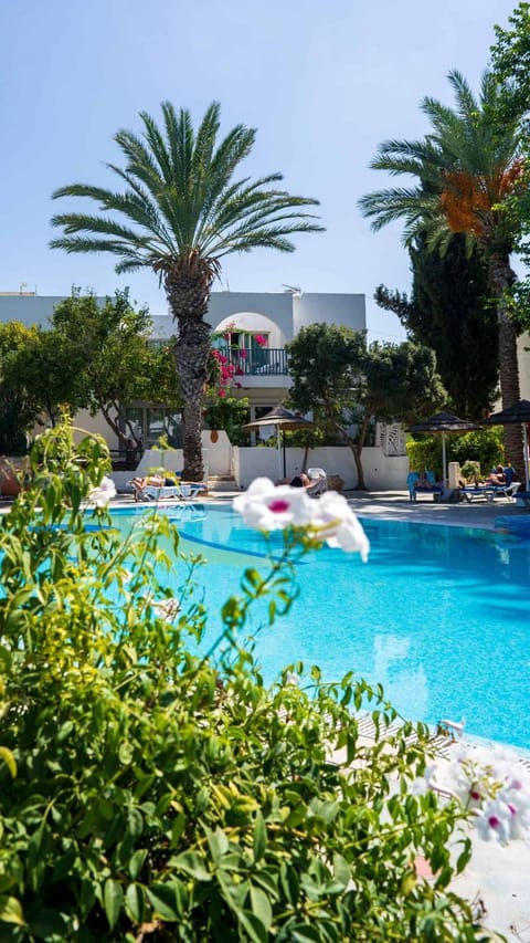 Pool view, Swimming pool, sunbed