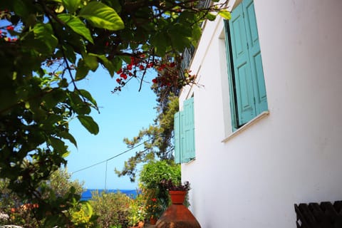 Property building, Natural landscape, Garden, Sea view