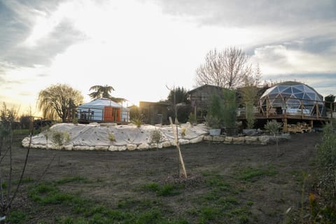 Property building, Day, Natural landscape, Garden, Garden view