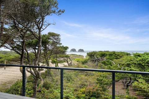 Oceanfront Family Cabin 4 BR Wrap-Around Deck Cabin in Rockaway Beach