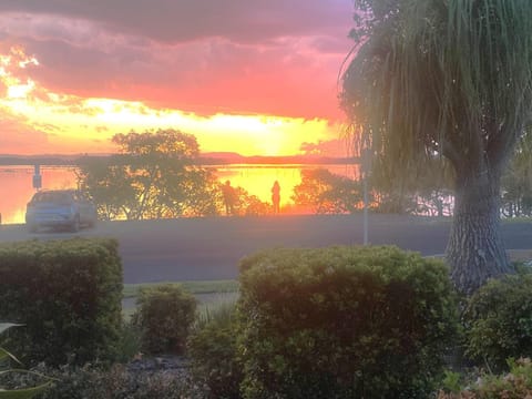 Garden, Garden view, Sunset