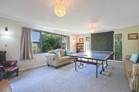 Table tennis, Seating area, Family