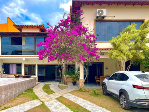 Garden, Garden, Garden view