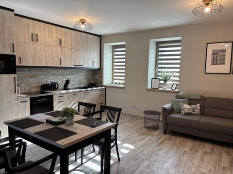 Kitchen or kitchenette, Living room, Seating area, dishwasher, oven, stove, toaster