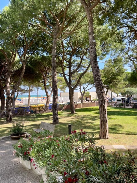 Garden view, Sea view