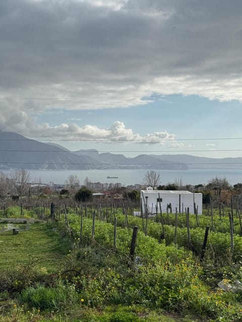Natural landscape, Sea view