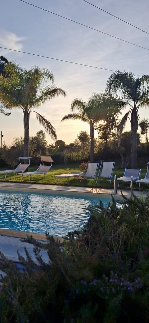 Day, Natural landscape, Garden view, Pool view, Swimming pool, sunbed