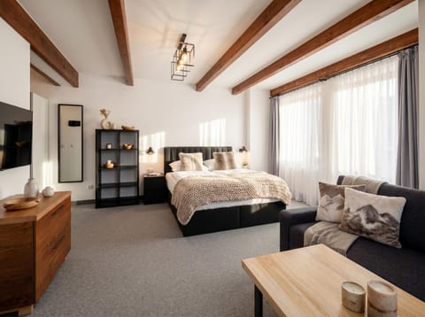 Communal lounge/ TV room, Bed, TV and multimedia, Living room, Photo of the whole room, Seating area, Evening entertainment, Bedroom
