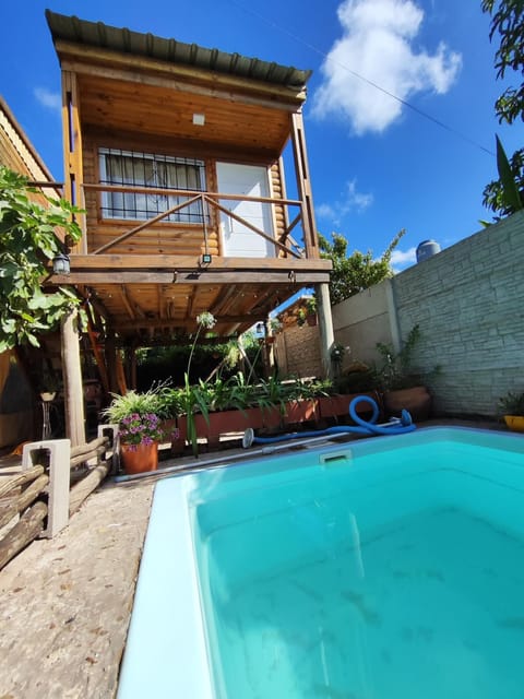 Garden, Garden view, Swimming pool