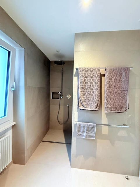 Shower, Bathroom, towels