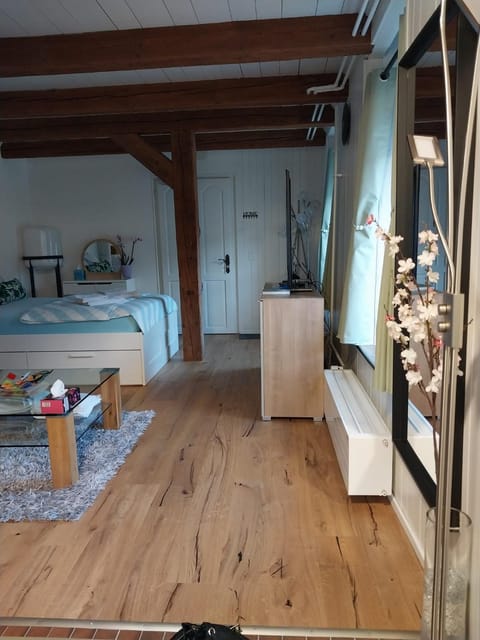 schickes gemütliches Studio Apartment in Appenzell Innerrhoden, Switzerland
