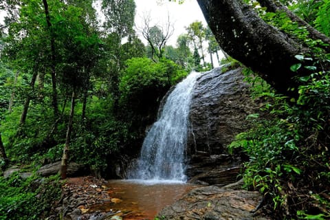 Nearby landmark, Spring, Natural landscape