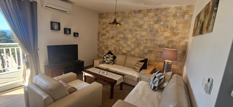 Day, TV and multimedia, Living room, Seating area, air conditioner