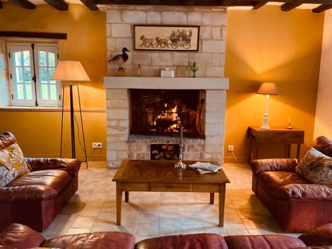 Living room, Decorative detail, fireplace