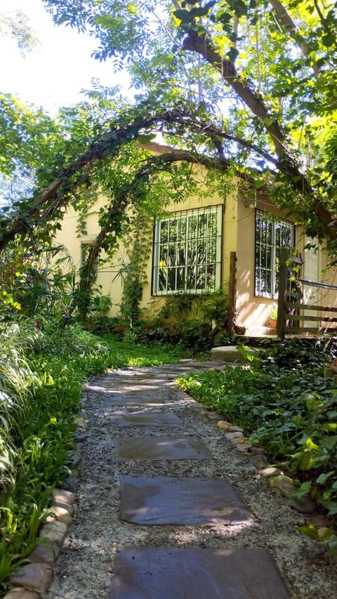 Property building, Spring, Garden, Garden view