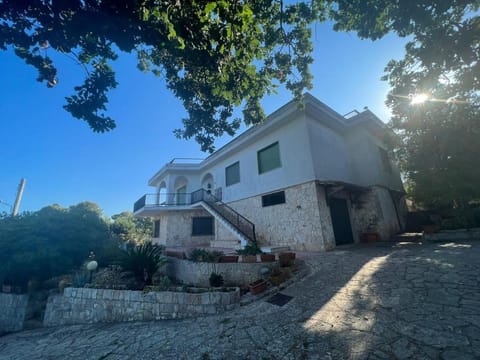 Property building, Garden view