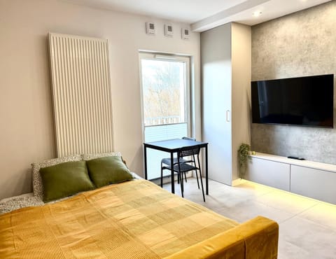 Bed, Living room, Photo of the whole room, Seating area, Bedroom