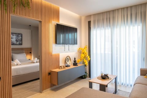 TV and multimedia, Photo of the whole room, Seating area