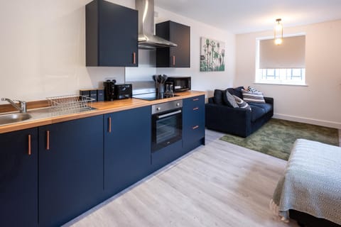 Kitchen or kitchenette, Living room, Seating area, oven, stove