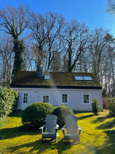 Property building, Garden view