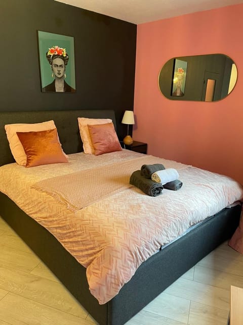 Superb apartment for 4 people, center - auto museum Apartment in Mulhouse