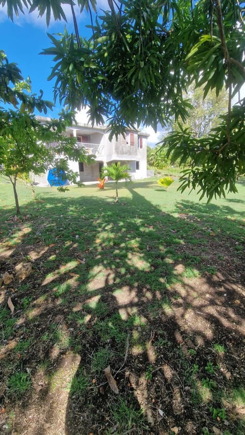 Day, Natural landscape, Garden, Garden view