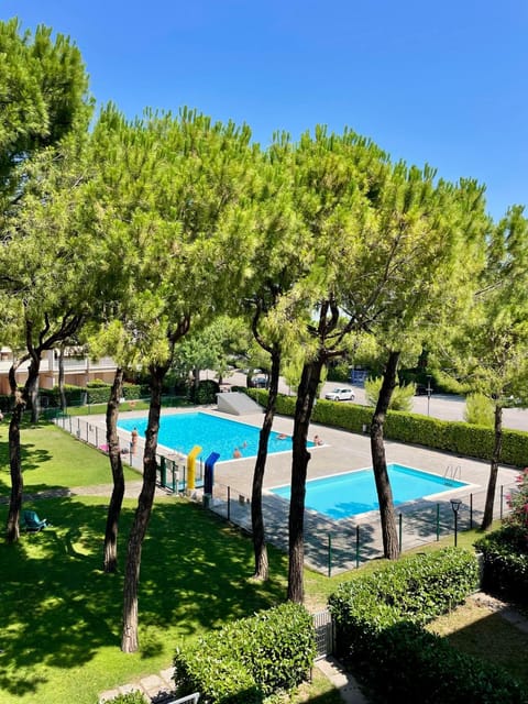 Garden, Pool view, Swimming pool