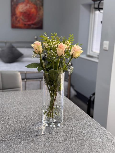 Wend Gardens Studio Carleton Skipton Pet Friendly House in Skipton