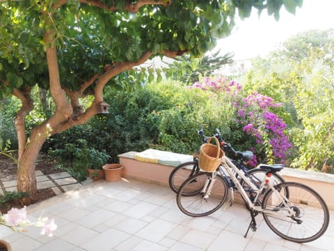 Garden, Cycling