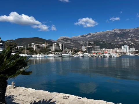 NEWBORN Hostel Budva Hostel in Budva