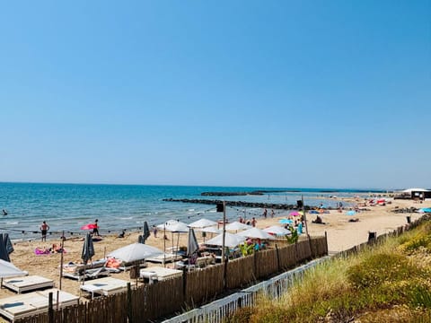 Day, Beach