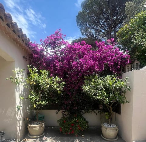 Maison LouLou House in Gassin