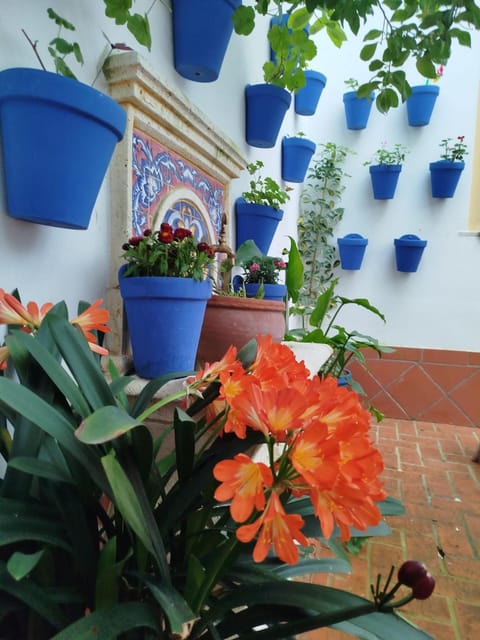 Patio, Inner courtyard view