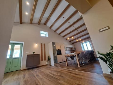 Kitchen or kitchenette, Living room, Dining area