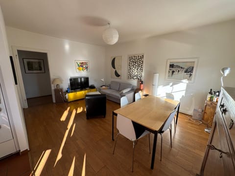 Sunny appartement near Downtown Apartment in Basel