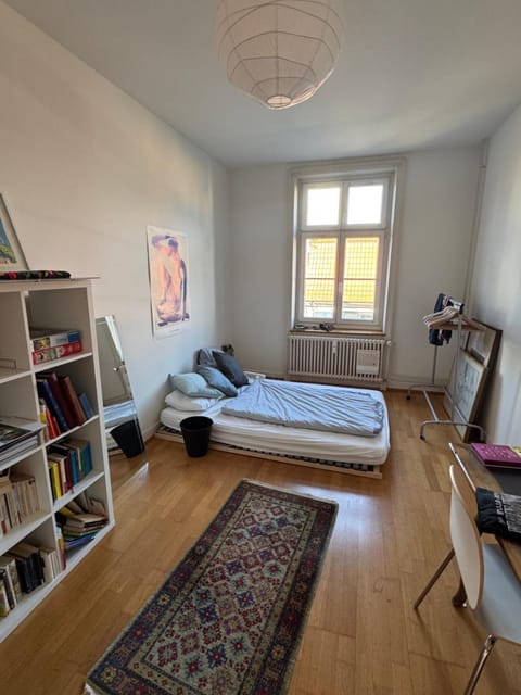 Sunny appartement near Downtown Apartment in Basel