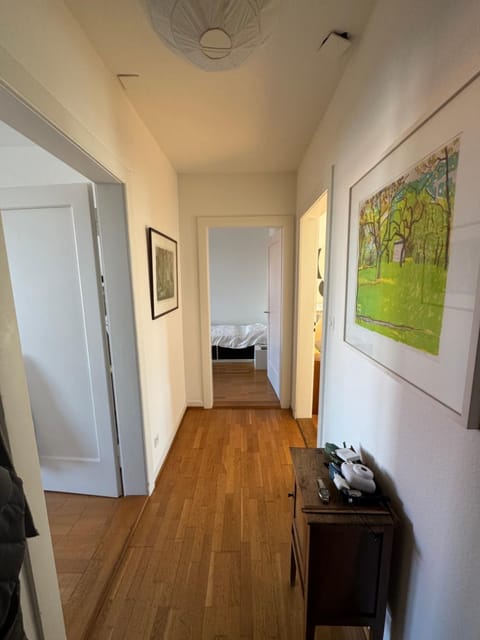 Sunny appartement near Downtown Apartment in Basel