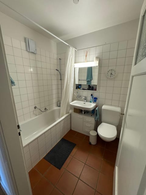 Sunny appartement near Downtown Apartment in Basel