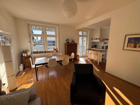 Sunny appartement near Downtown Apartment in Basel