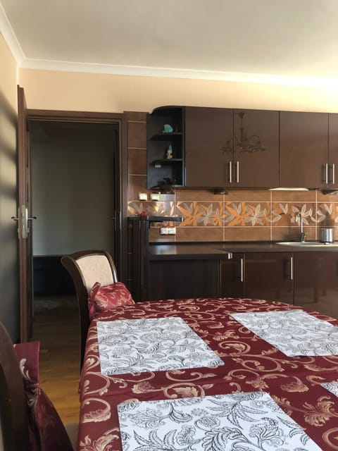 Kitchen or kitchenette, Photo of the whole room, Dining area, kitchen